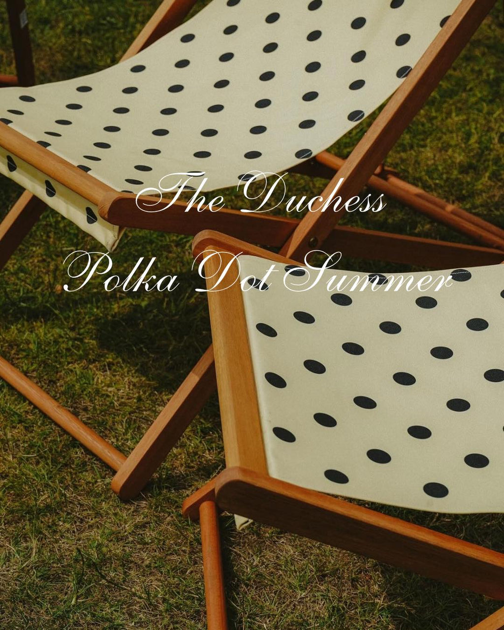 Duchess Monaco - Polka Dot